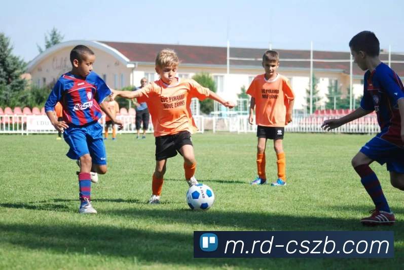 辅助工具 辅助工具